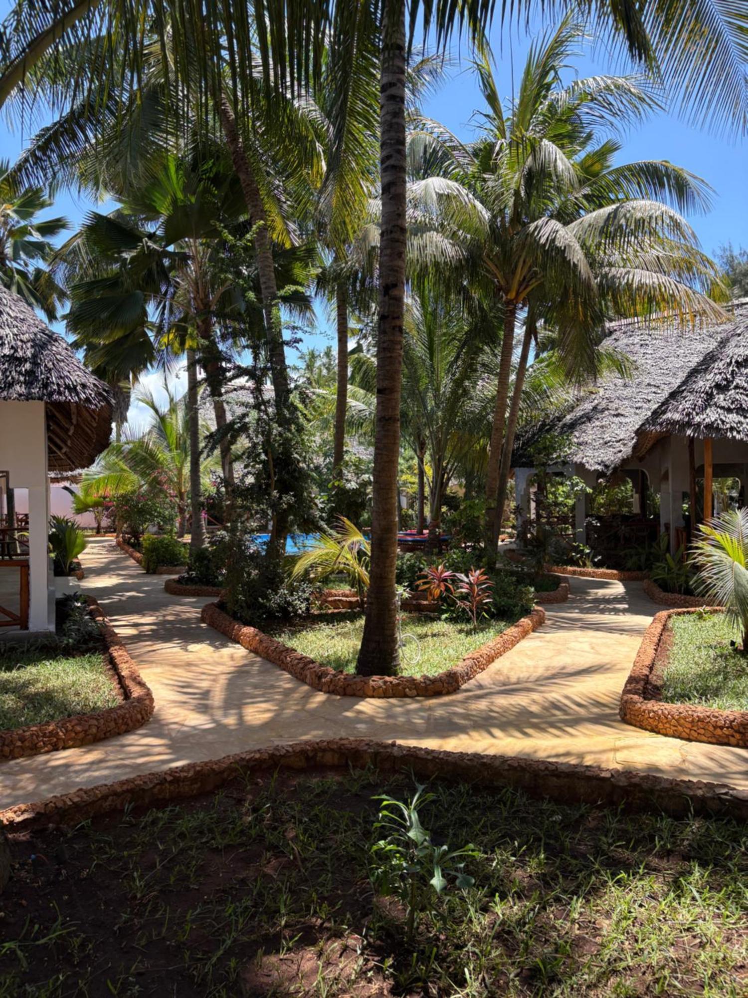 African Bungalows نونغوي المظهر الخارجي الصورة